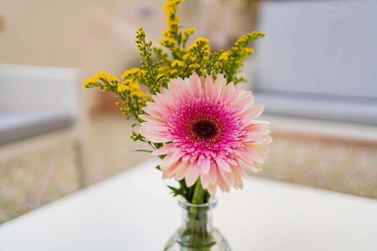 Guest house Ammare Rooms Agrigento